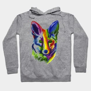 Multicolored Fox Hoodie